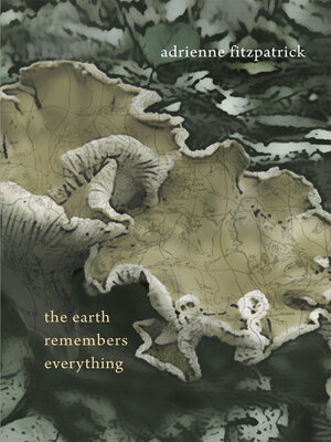 cover image of The Earth Remembers Everything